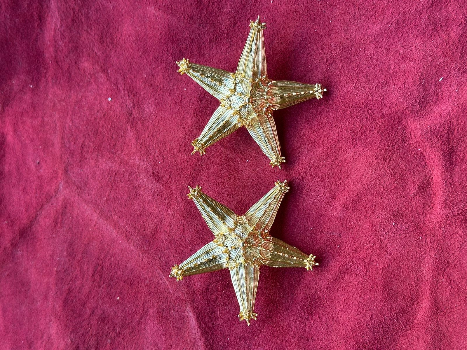 Gold Starfish Earrings